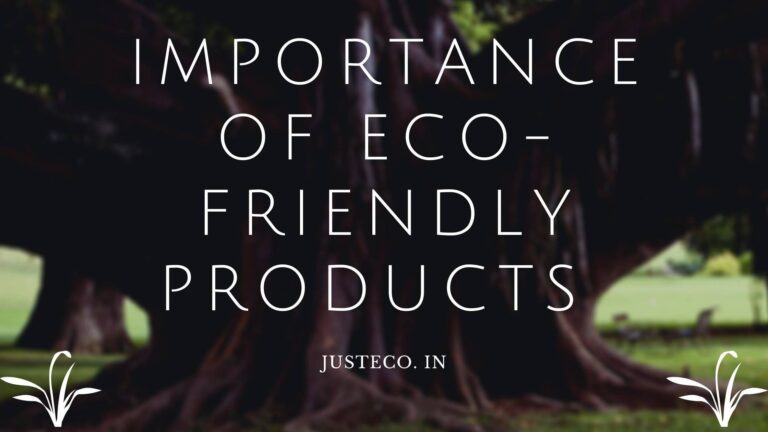 Importance Of Eco-Friendly Product