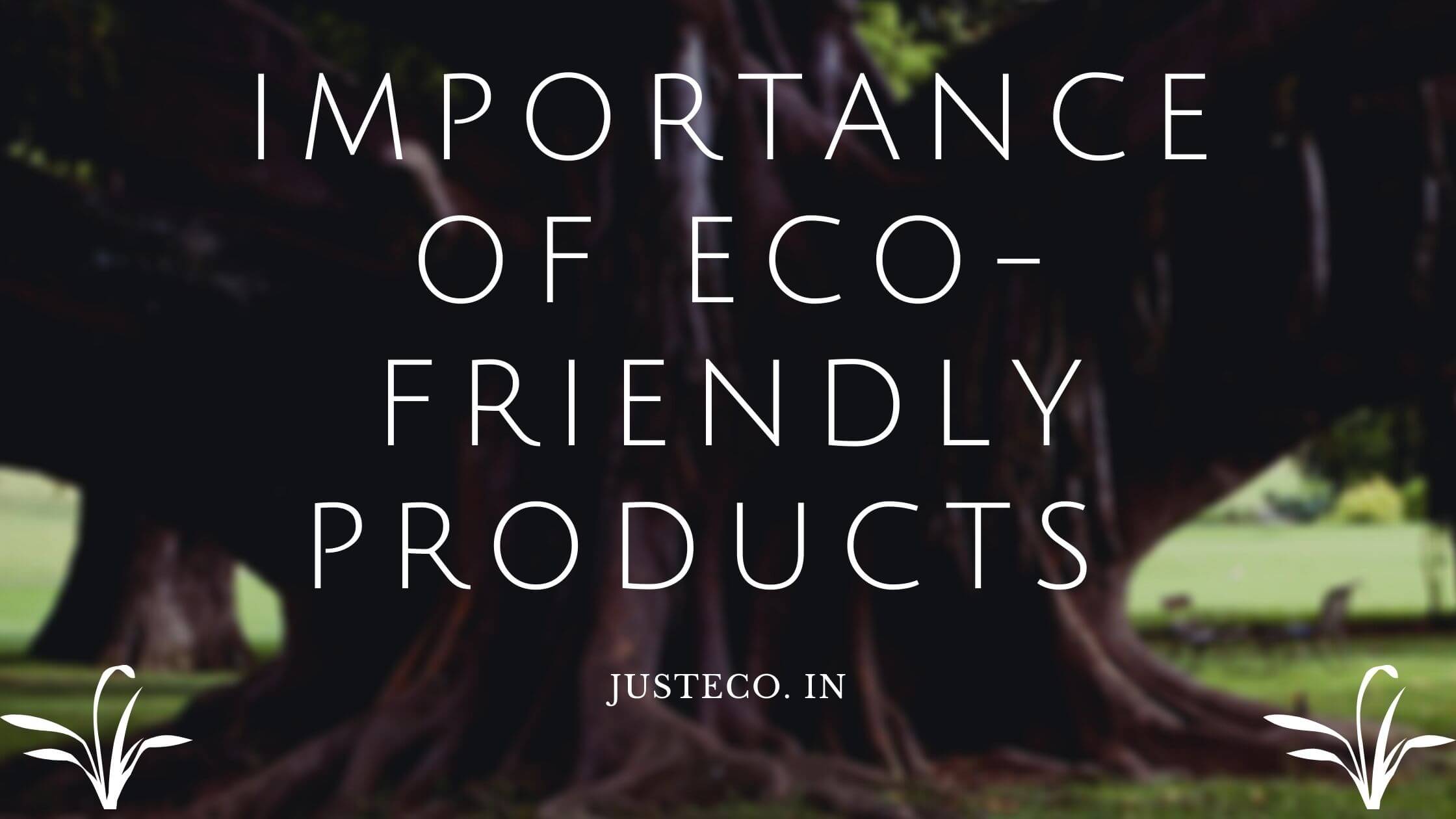 The Importance of Eco-Friendly Products: A Guide to Sustainable Living