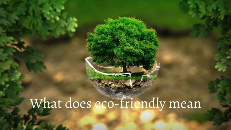 what does eco-friendly mean
