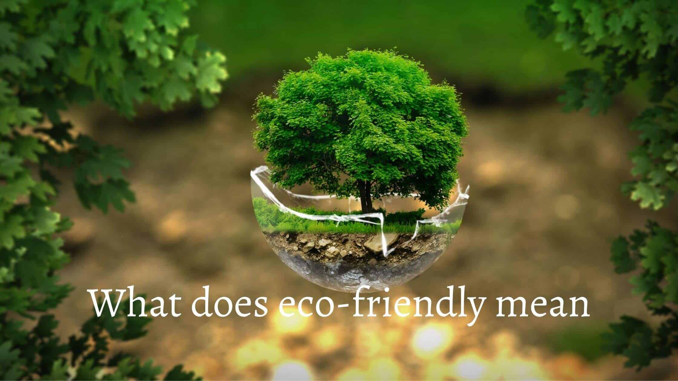 What does eco-friendly mean? - Ecofriendly Meaning - Environment Blog