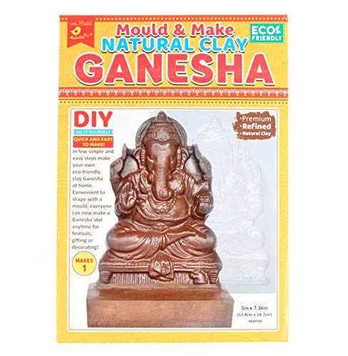 eco-friendly ganesha kit