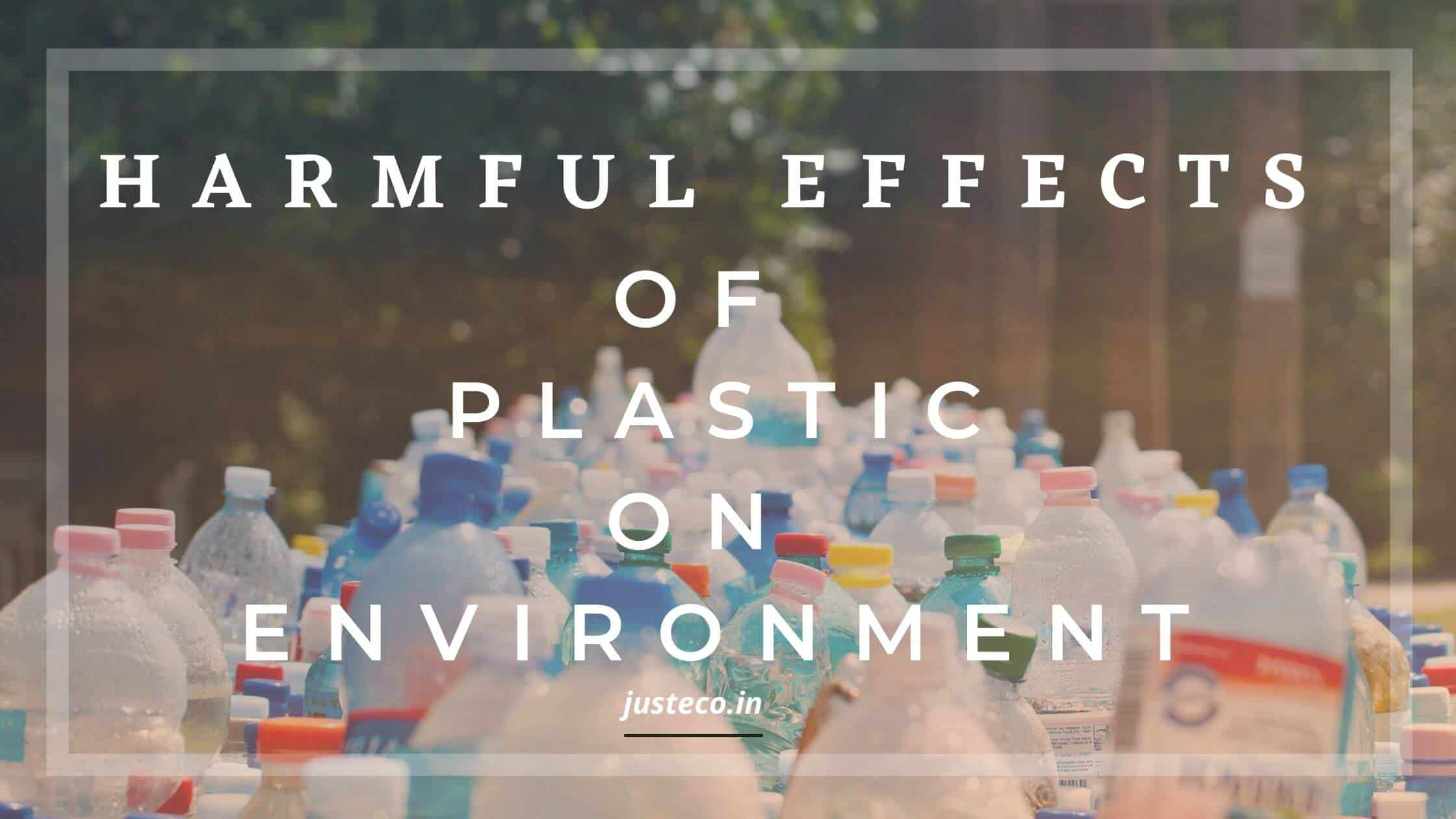 10 Harmful Effects of plastic On the Environment | Causes + Effortless Solutions