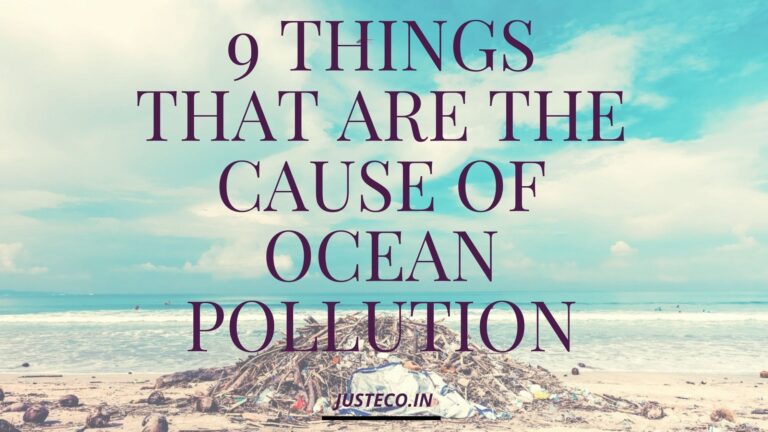 9 Things That Are The Cause Of Ocean Pollution