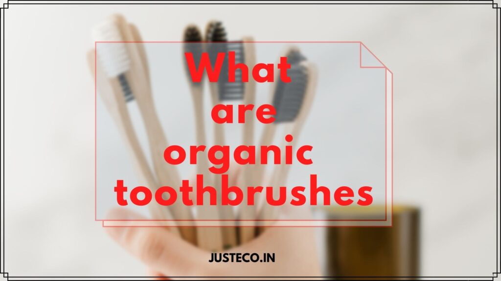 what are organic toothbrushes