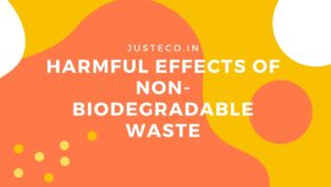 Harmful Effects Of Non-Biodegradable Waste