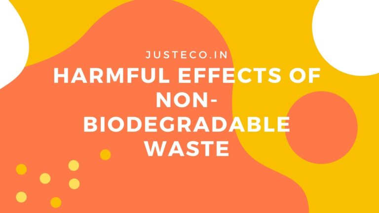 Harmful Effects Of Non-Biodegradable Waste