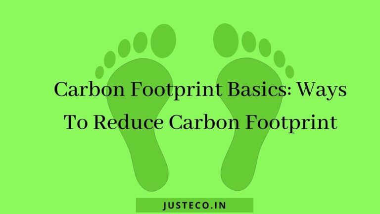 Carbon footprint basics