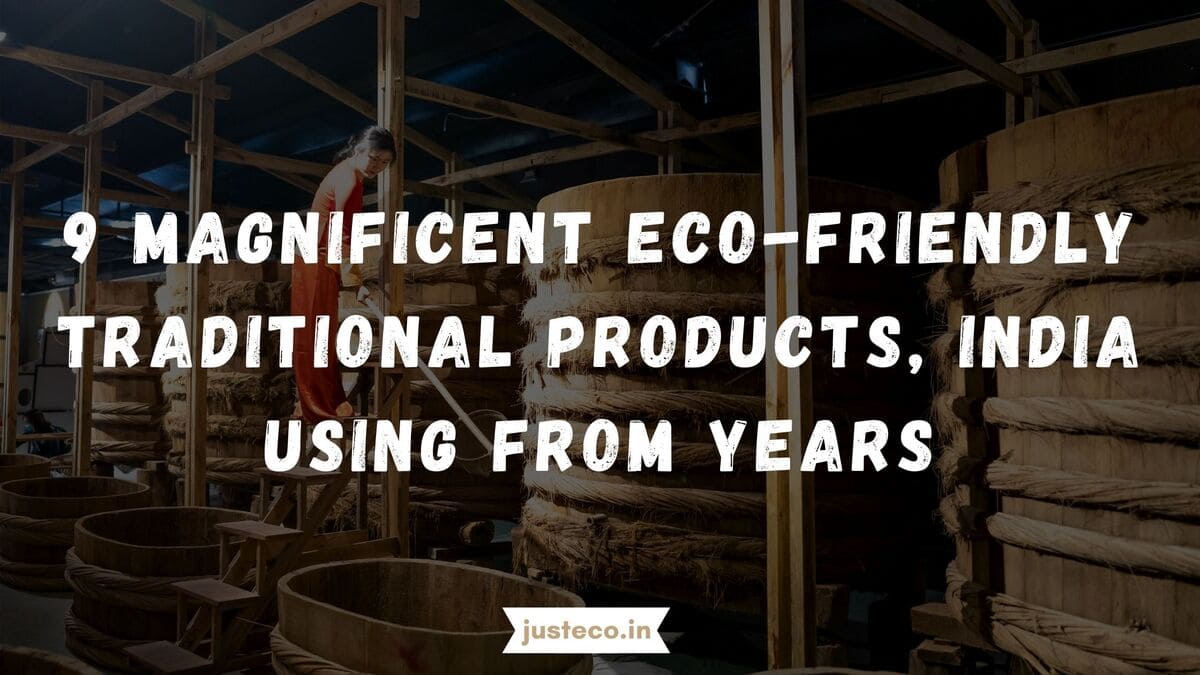 9 Magnificent Eco-Friendly Traditional Products in India Using From Years