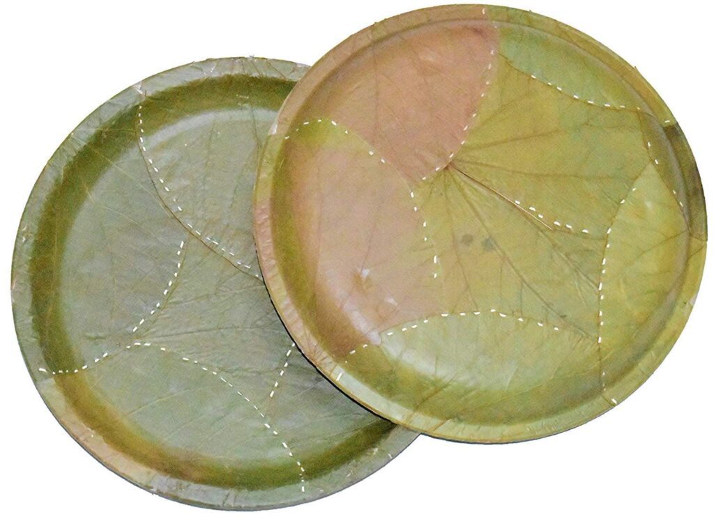 Sal leaves plates
