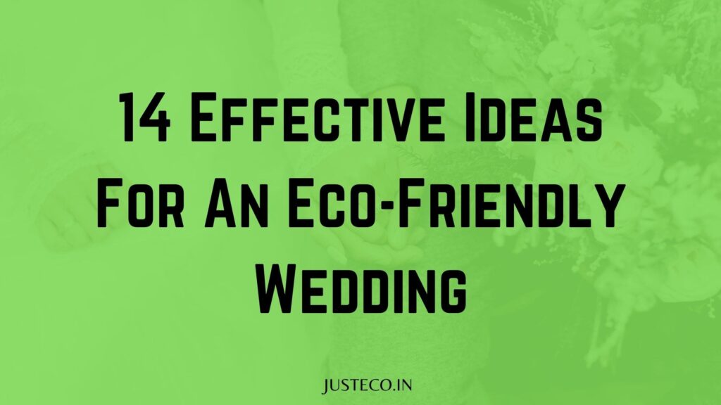 14 Effective Ideas For An Eco-Friendly Wedding