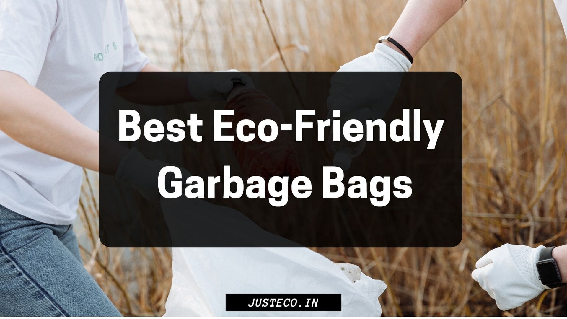 What Are the Most Eco-Friendly Garbage Bags?