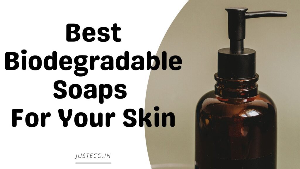 Best Biodegradable Soaps
