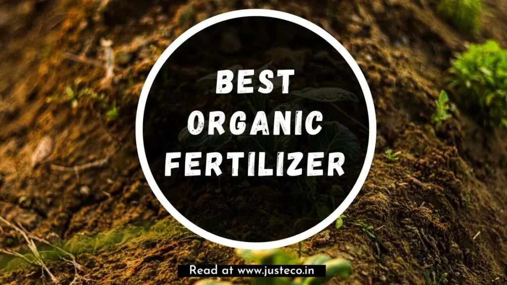 Best-Organic-Fertilizer-Brands