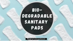 Bio Degradable Sanitary Pads