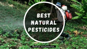 Natural-Pesticides