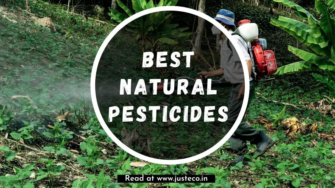 Natural-Pesticides