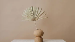 eco-minimalism
