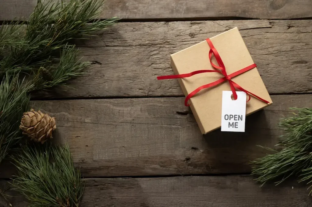 sustainable-gift-ideas-for-christmas