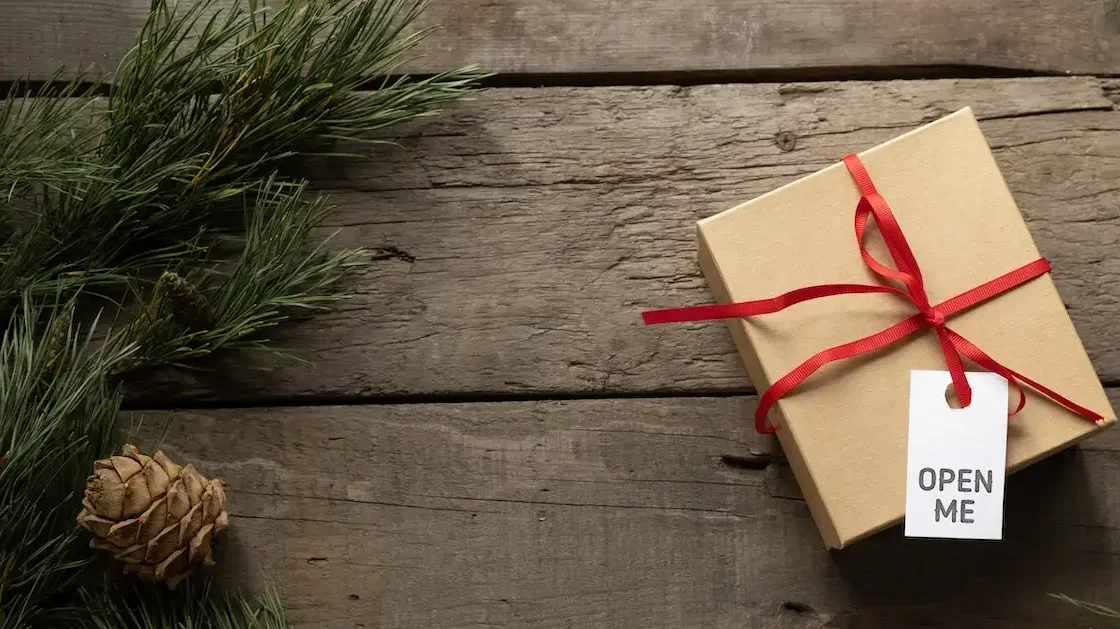 17 Sustainable Gift Ideas for Your Loved Ones this Christmas