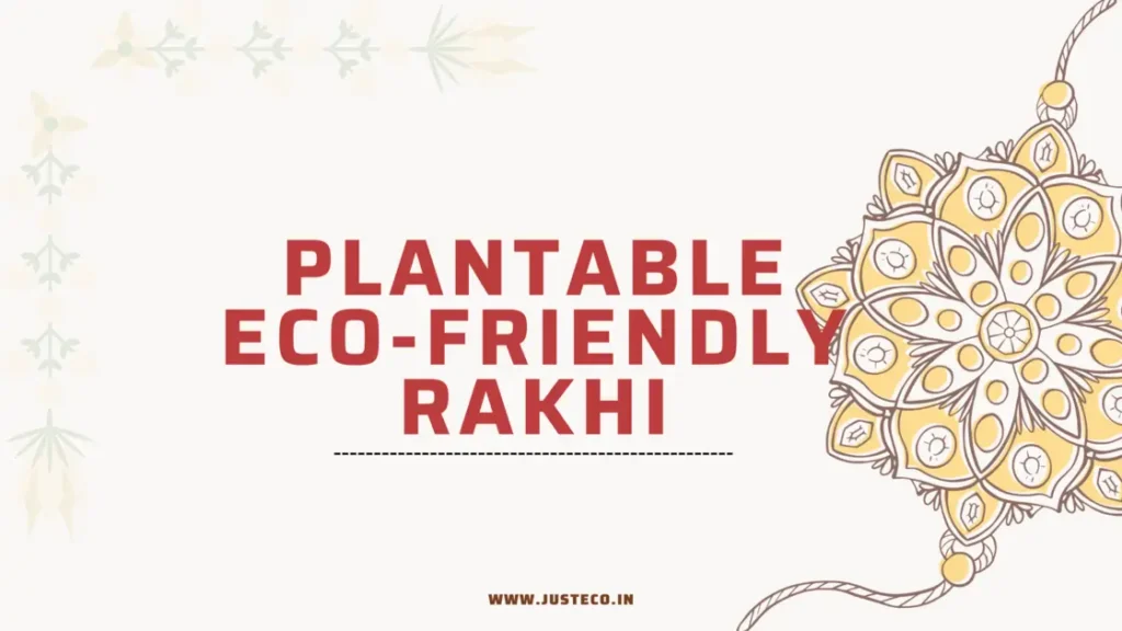 Plantable ecofriendly rakhi