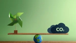Why Every Business Needs a Carbon Offset Strategy in 2025
