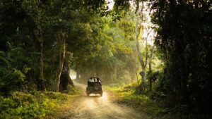 Sustainable safari