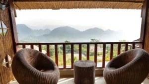 Bamboo Fence