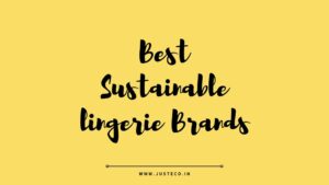 best sustainable lingerie Brands