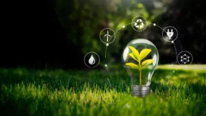 5 Important Sources of Renewable Energy