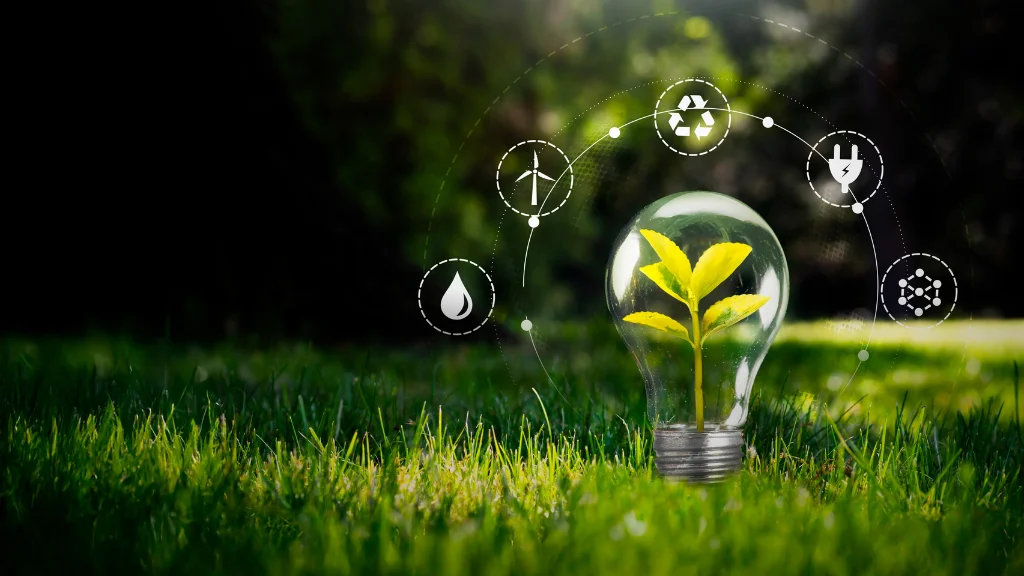 5 Important Sources of Renewable Energy