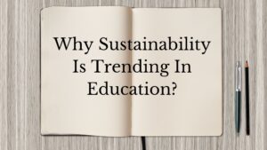 Why Sustainability Is Trending In Education