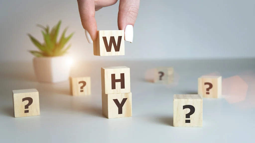 Why Sustainability Is Trending In Education?