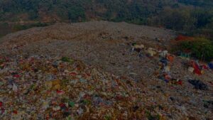 Eco-Friendly Business Practices