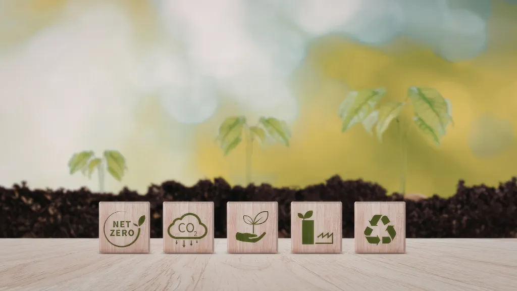 the-ultimate-guide-to-sustainable-living-tips-practices-and-product-recommendations