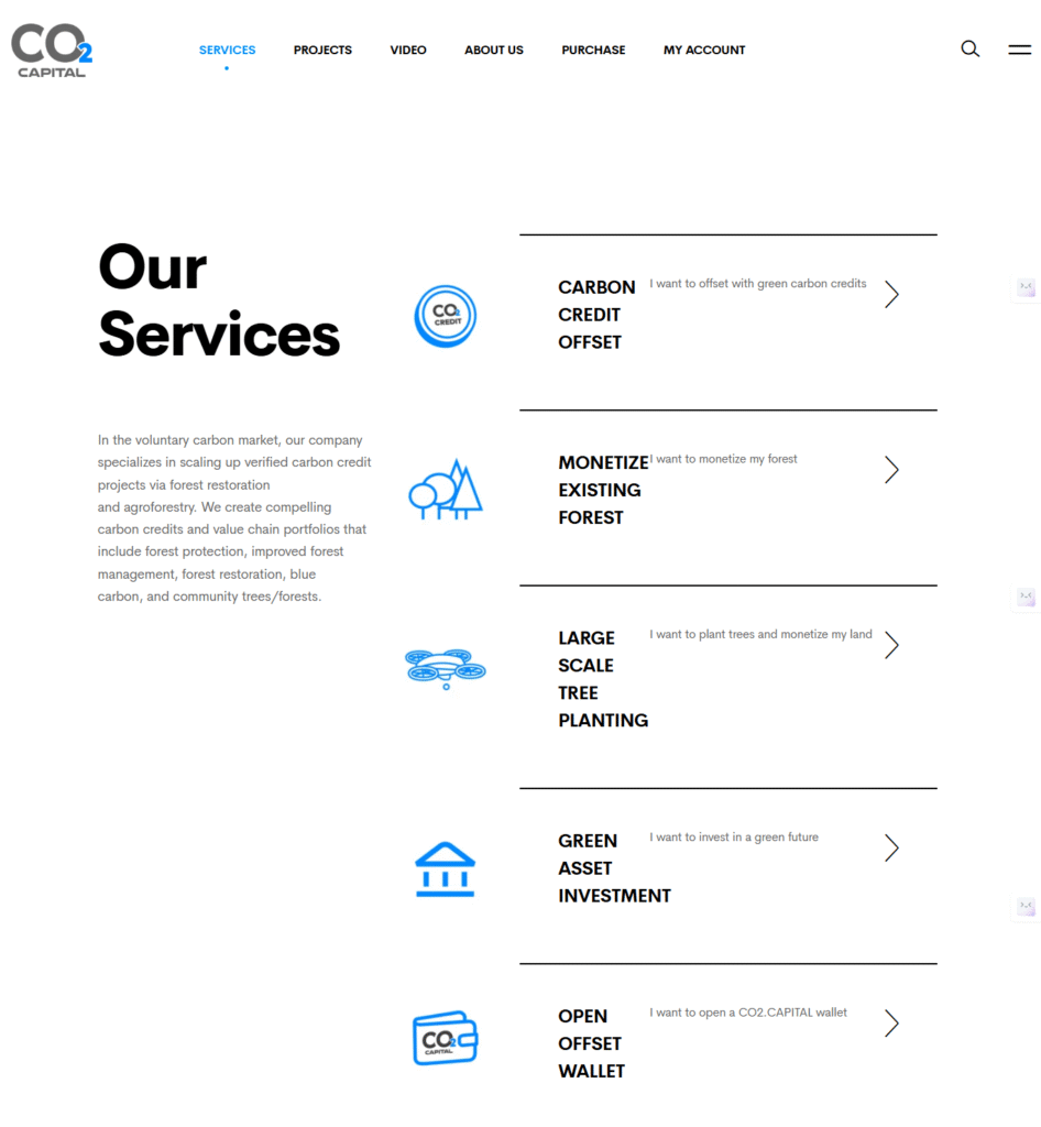 Co2.capital-Services