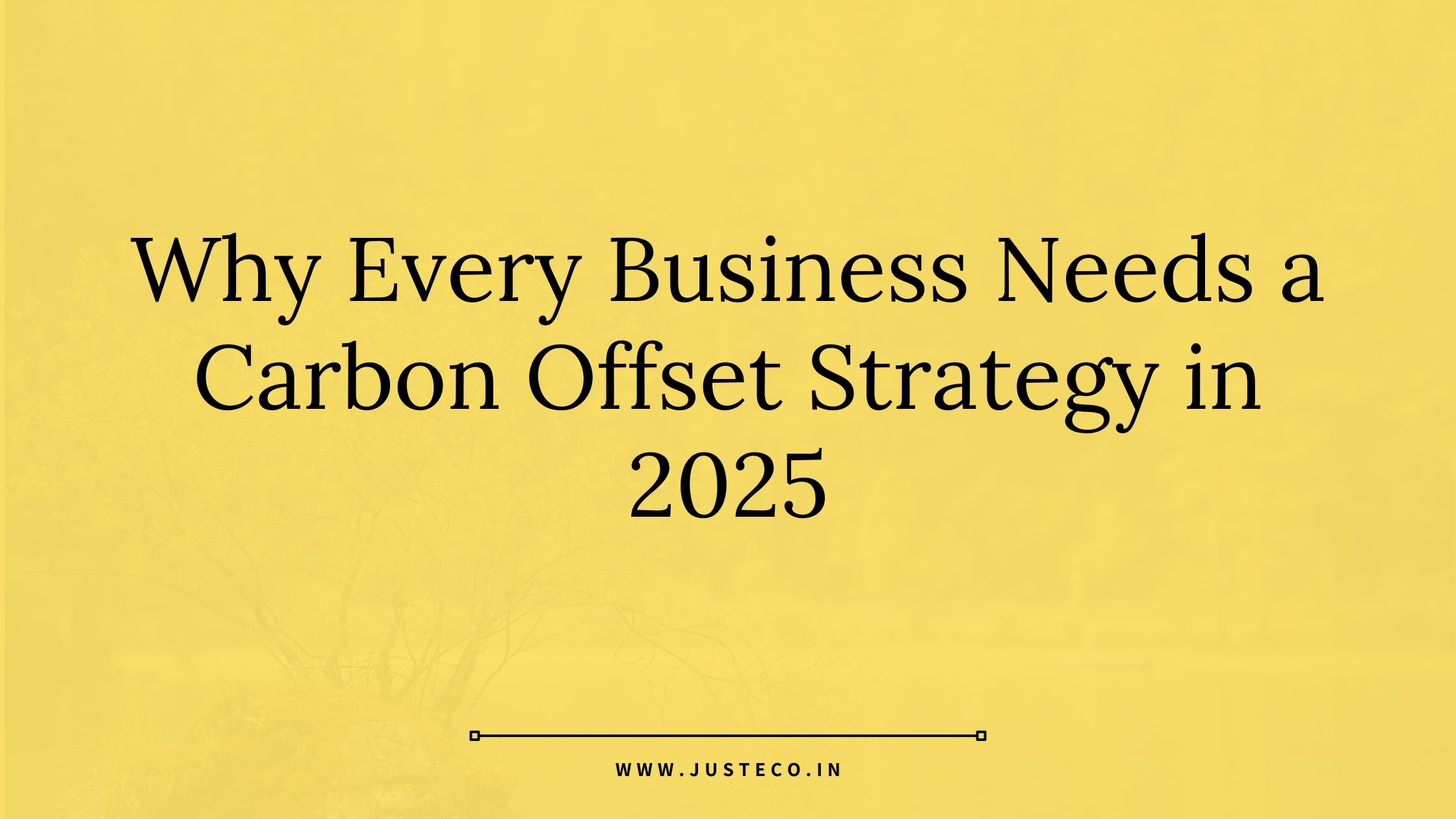 Why-Every-Business-Needs-a-Carbon-Offset-Strategy-in-2025