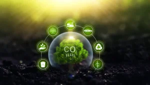 CO2.Capital Review : Features, Pricing & Honest Verdict