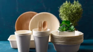 why-are-more-consumers-demanding-biodegradable-food-packaging